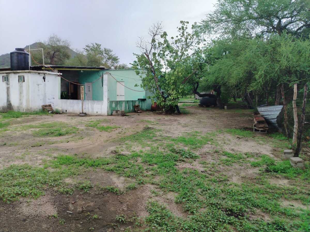 3 de 3