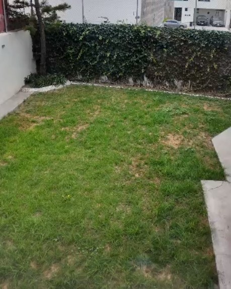 3 de 12