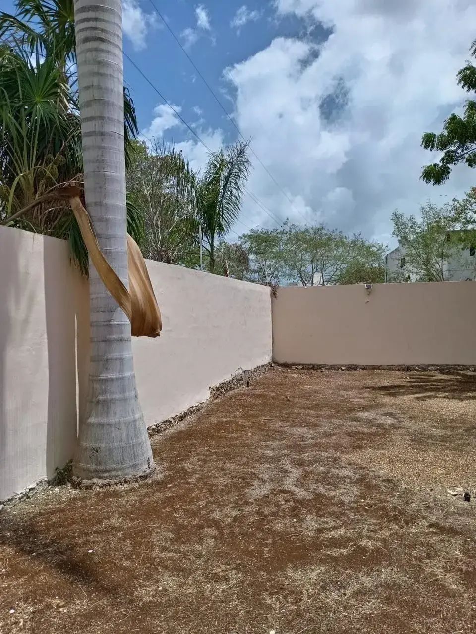 22 de 27