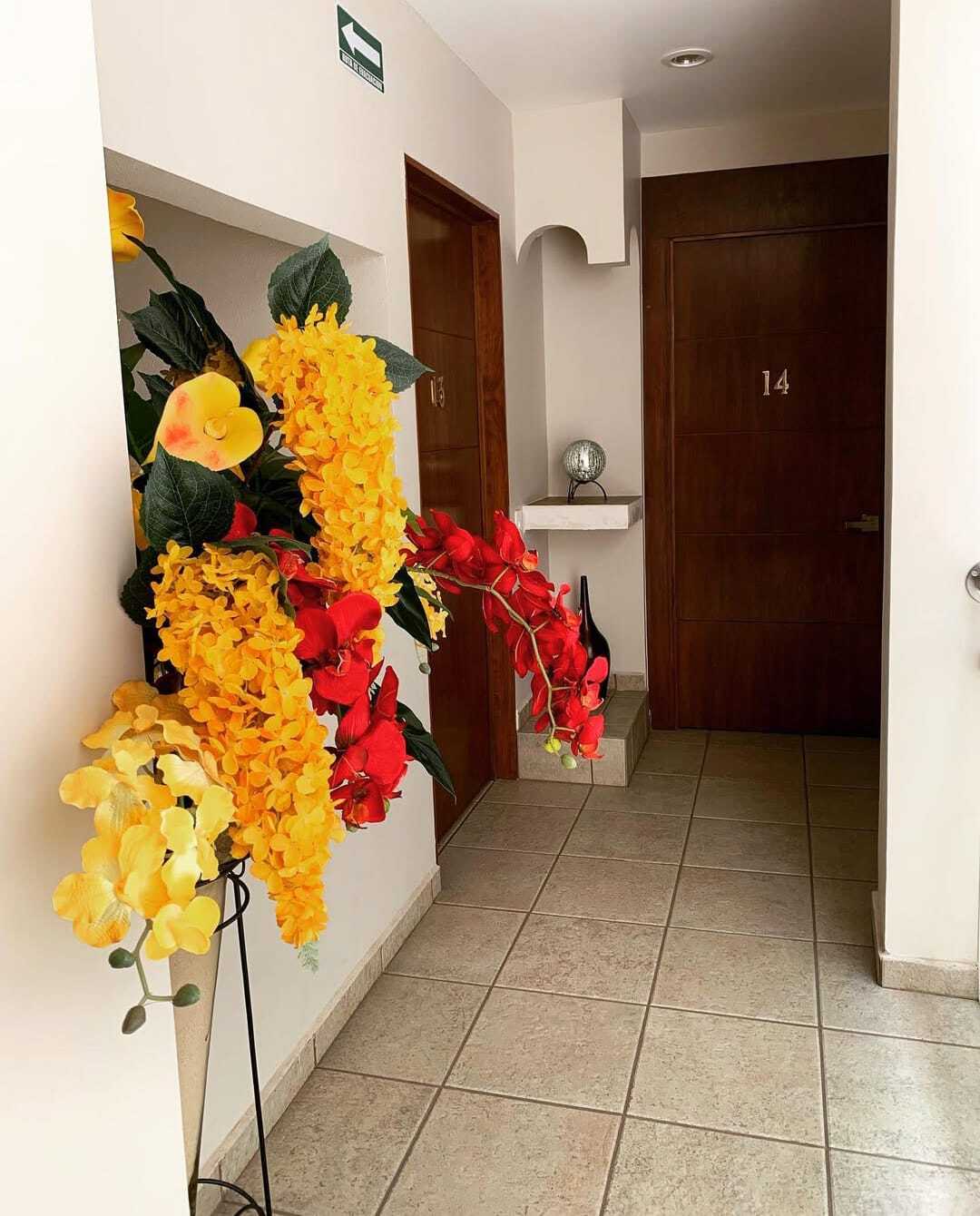 18 de 50
