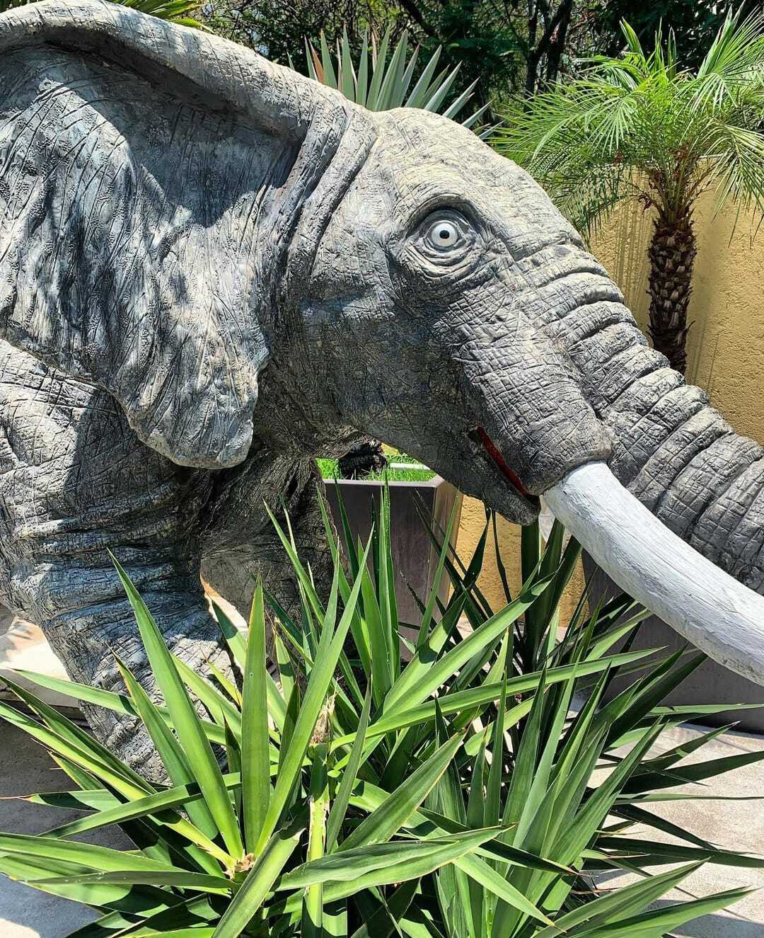 14 de 50