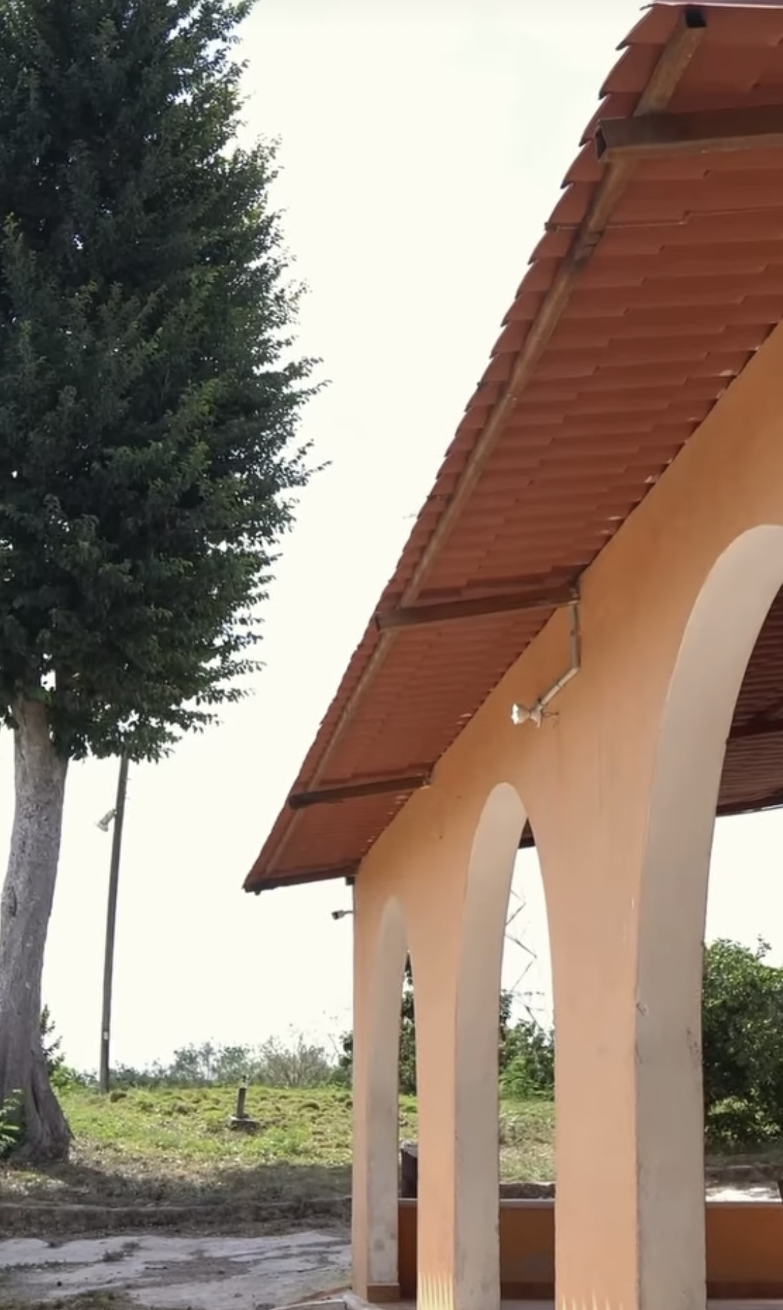 9 de 35