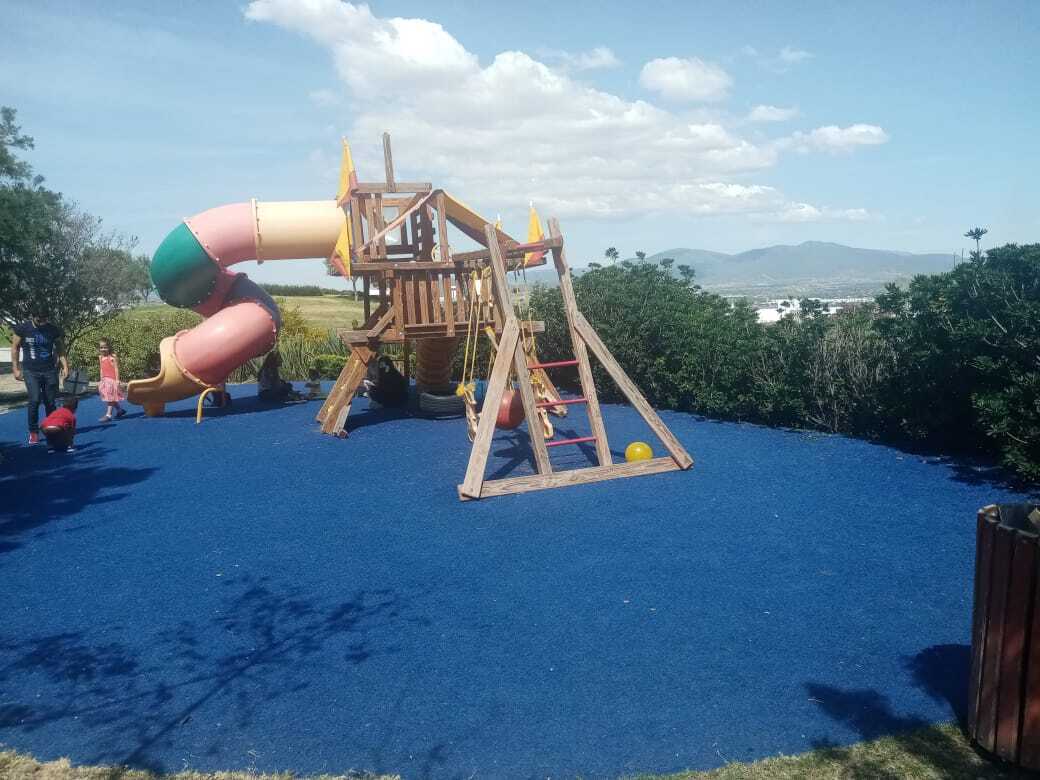 11 de 50
