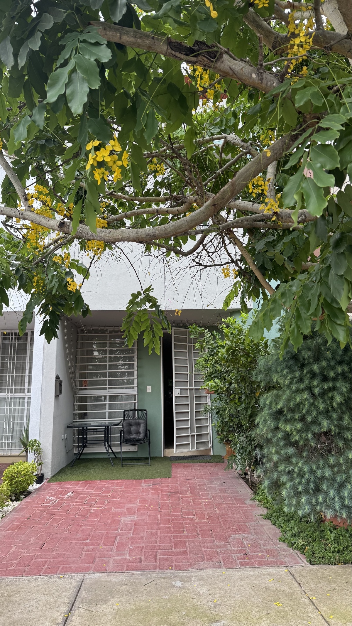 2 de 26