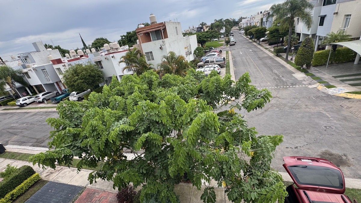 26 de 26