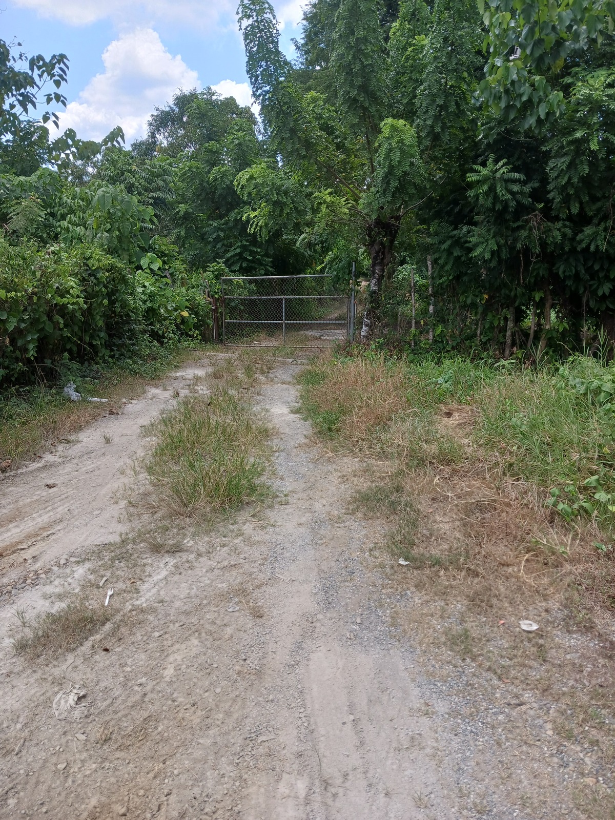 1 de 4