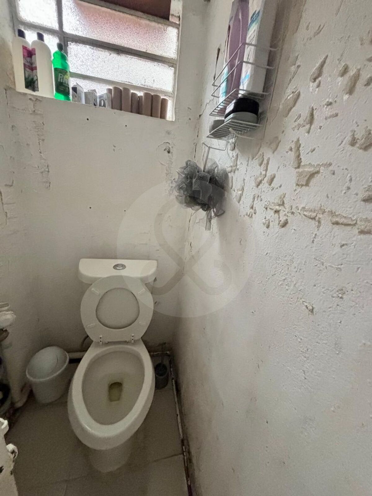 16 de 24