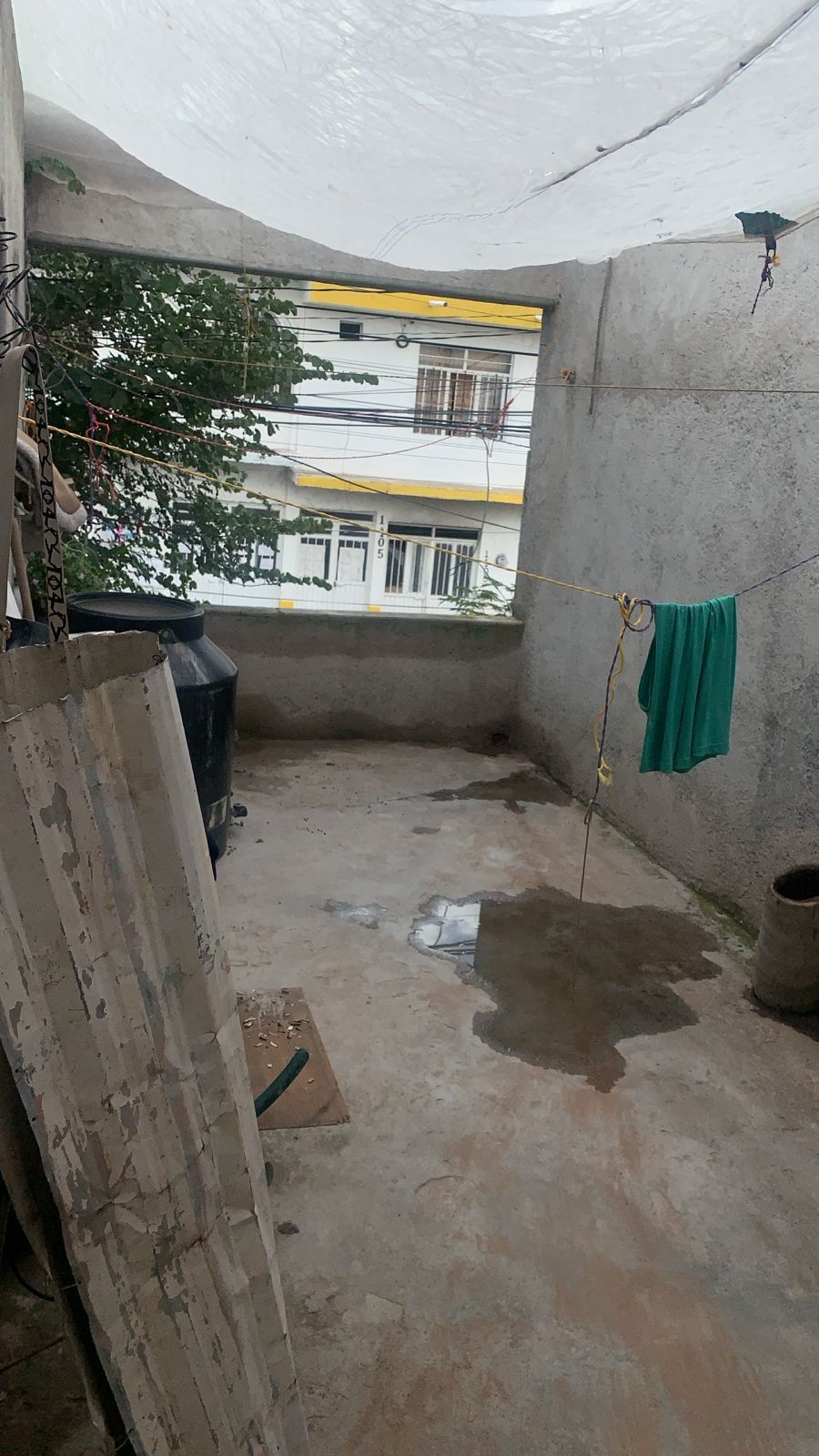22 de 31