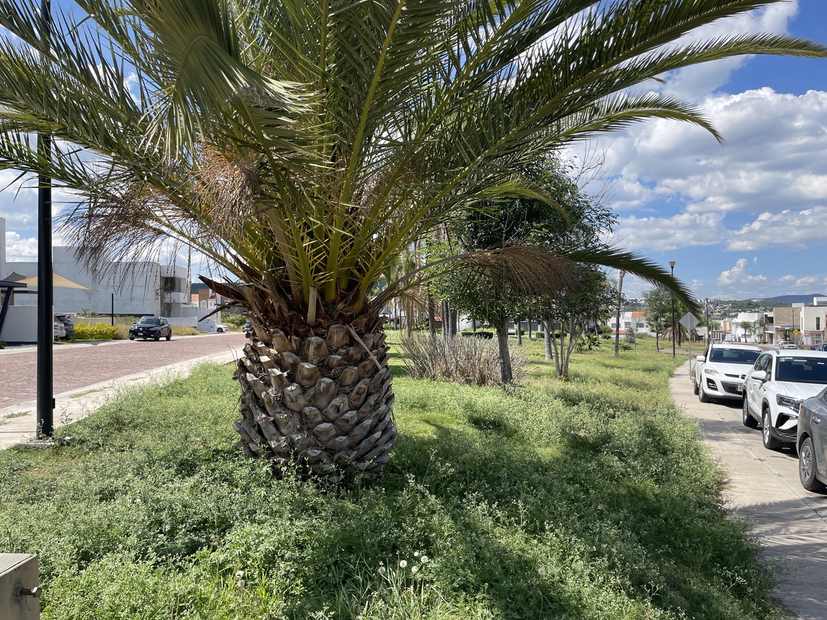 5 de 6