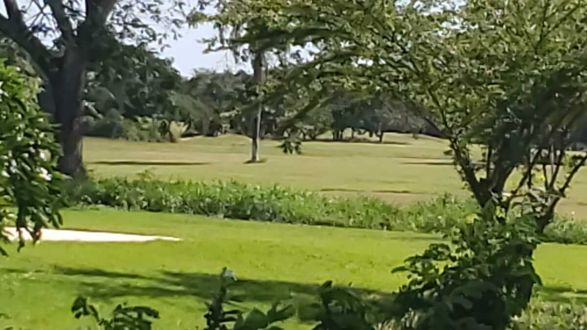 1 de 11