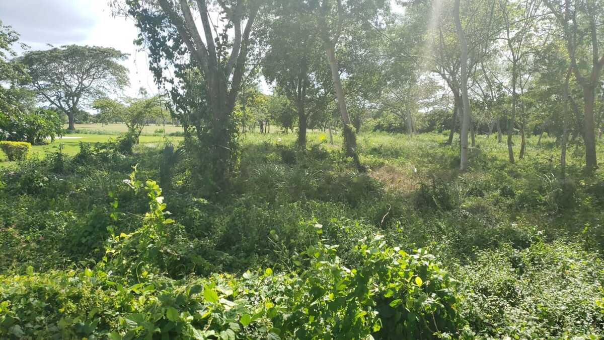 3 de 11