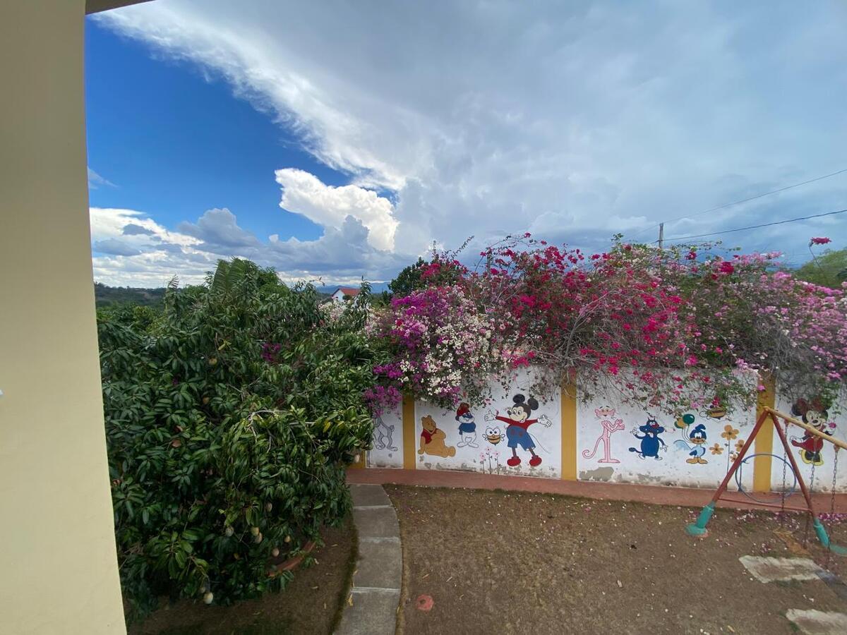 8 de 32