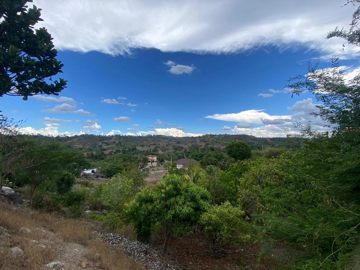 24 de 32