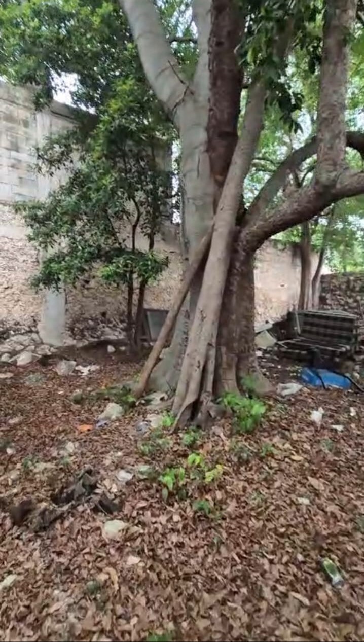 17 de 40