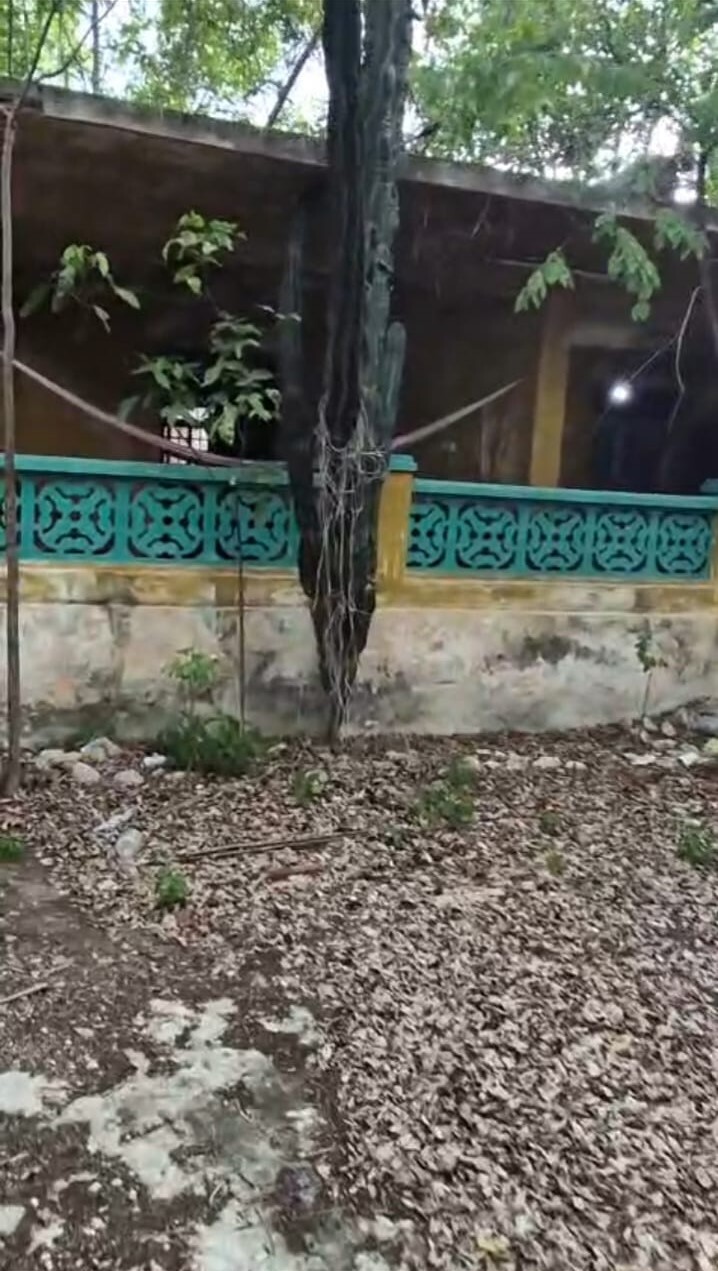 20 de 40