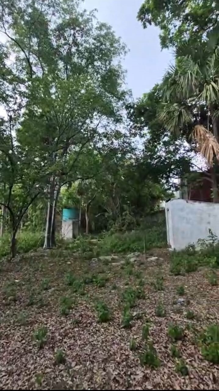 22 de 40