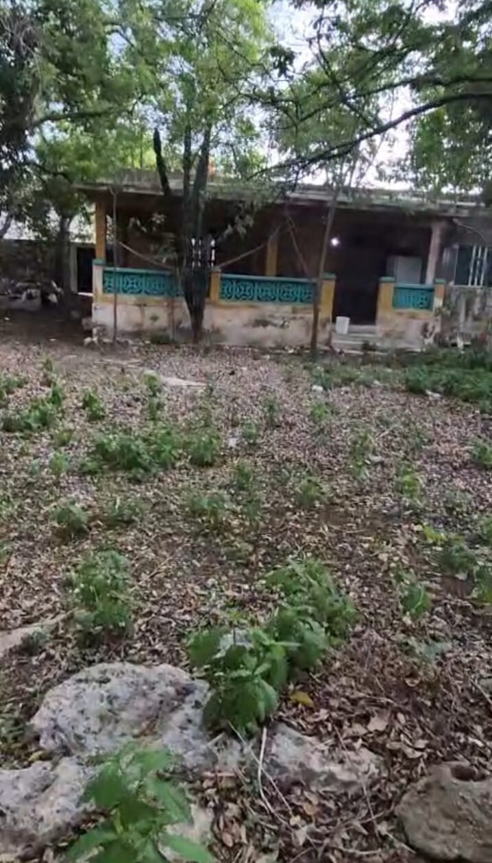 25 de 40