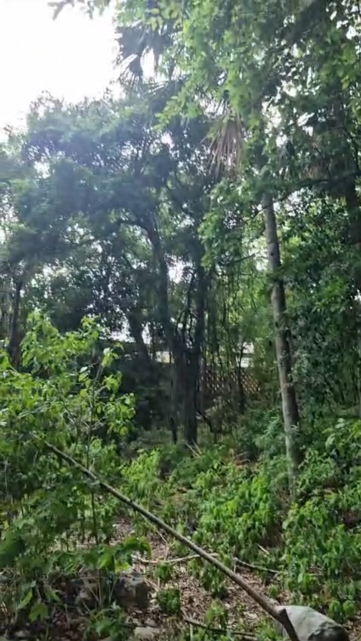 33 de 40