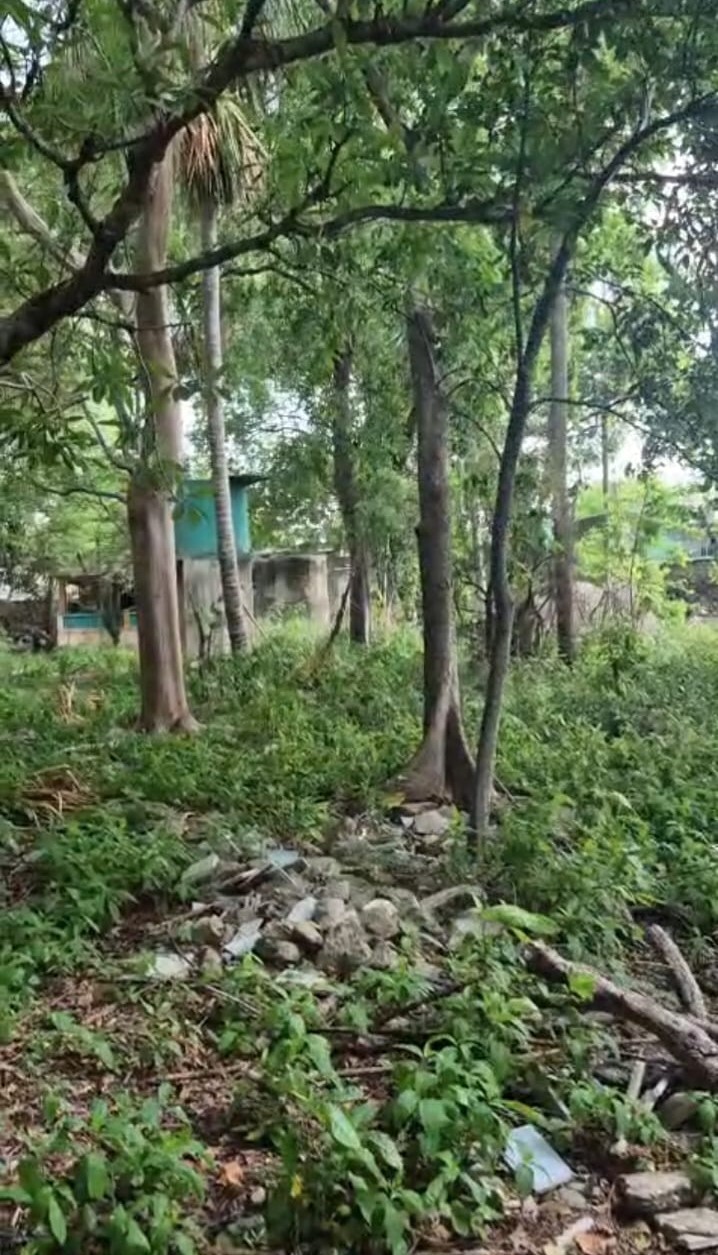 34 de 40