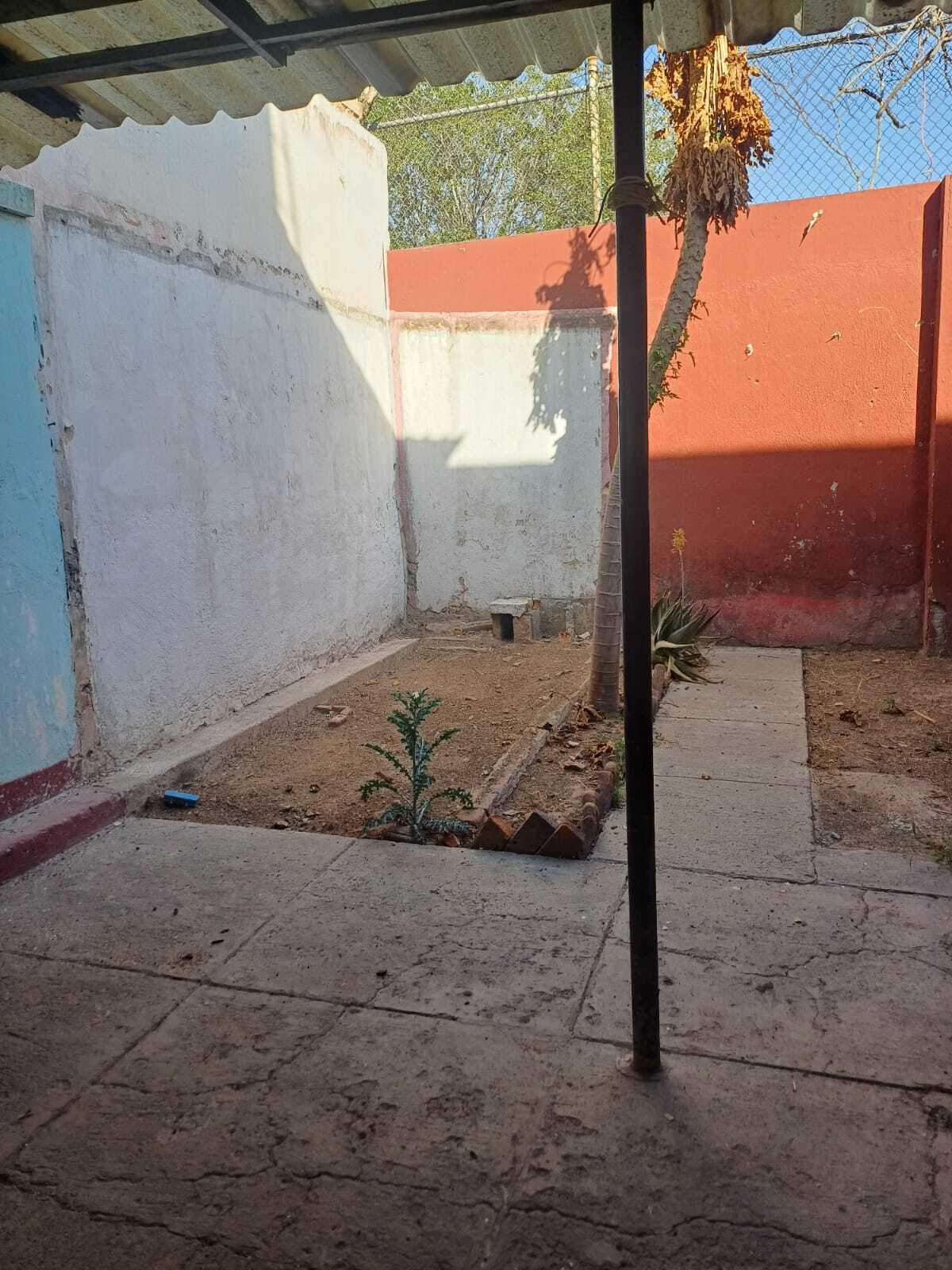 2 de 6