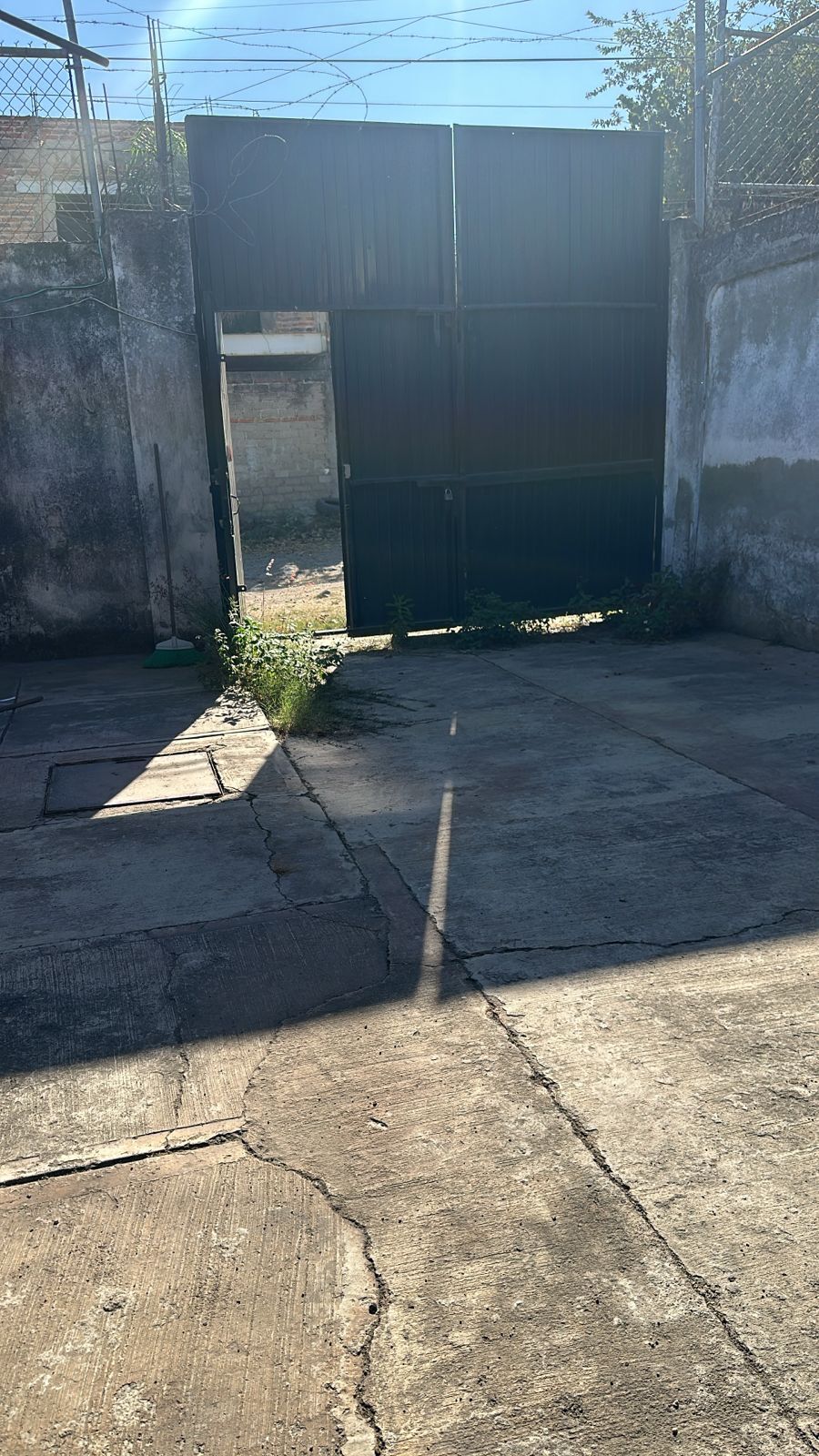 1 de 6