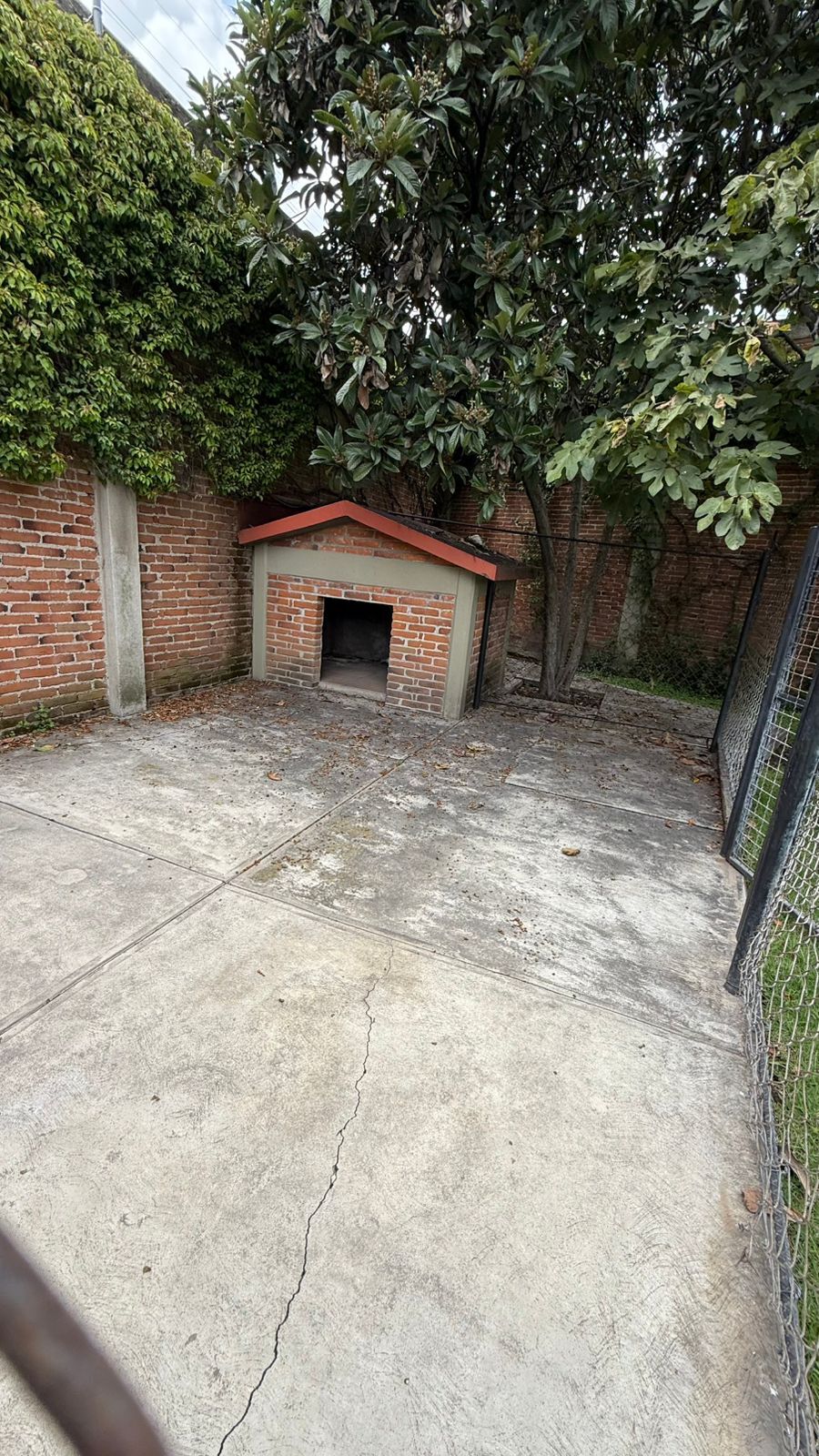 19 de 44