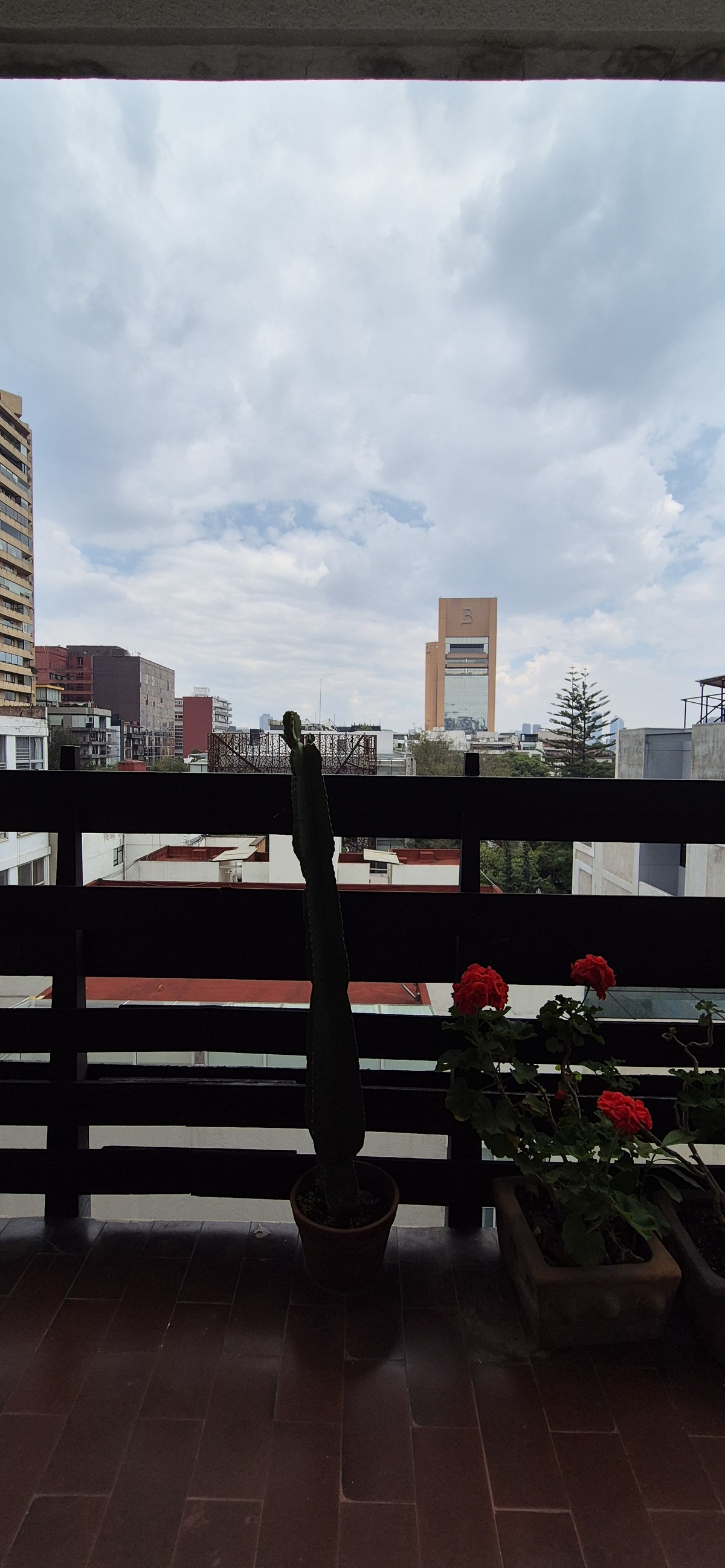 22 de 23