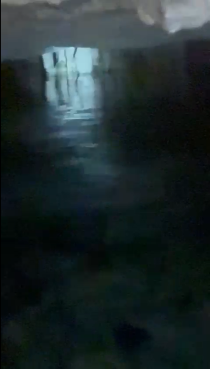8 de 8