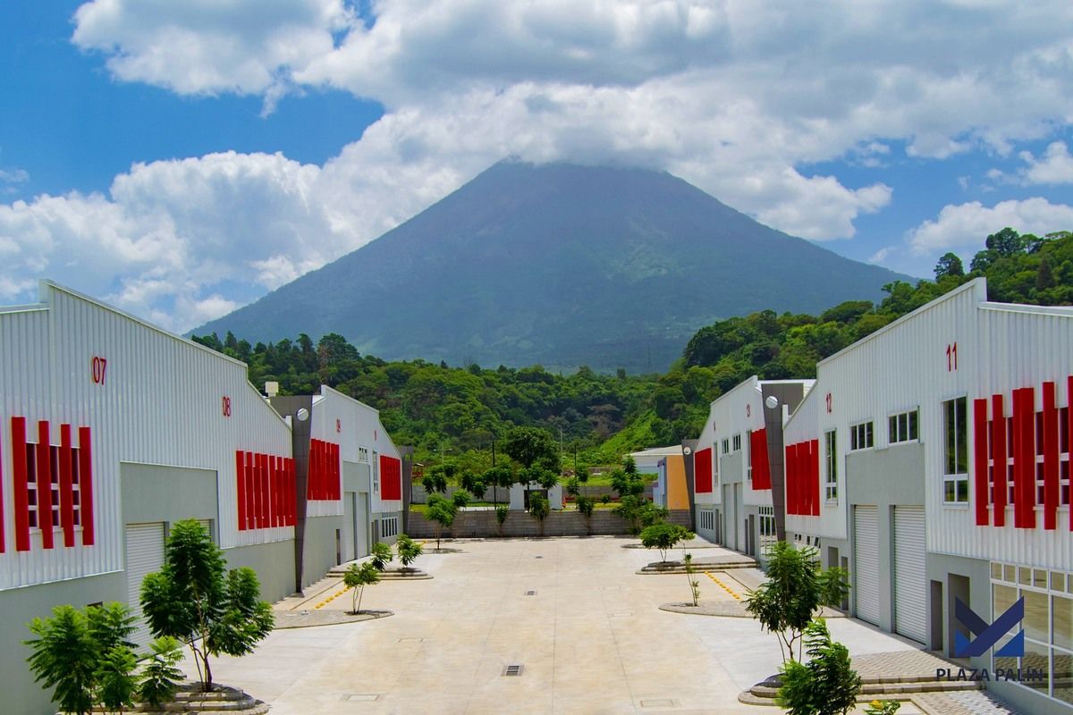 Plaza Palin - Miniatura 2