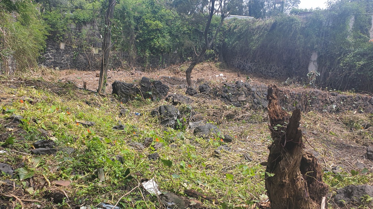 1 of 5: Terreno en Jardines del Pedregal de San Ángel Rayo Vende ®