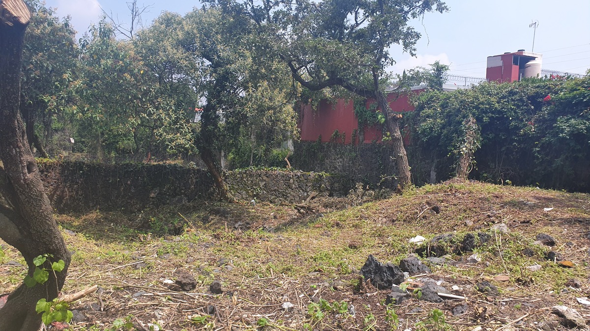 2 of 5: Terreno en Jardines del Pedregal de San Ángel Rayo Vende ®