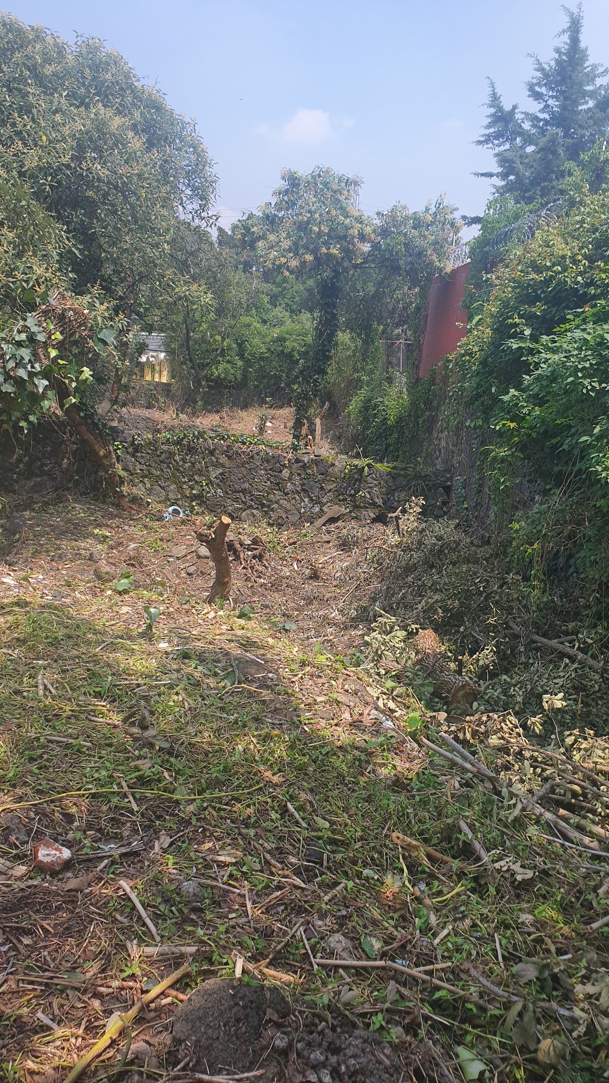 4 of 5: Terreno en Jardines del Pedregal de San Ángel Rayo Vende ®