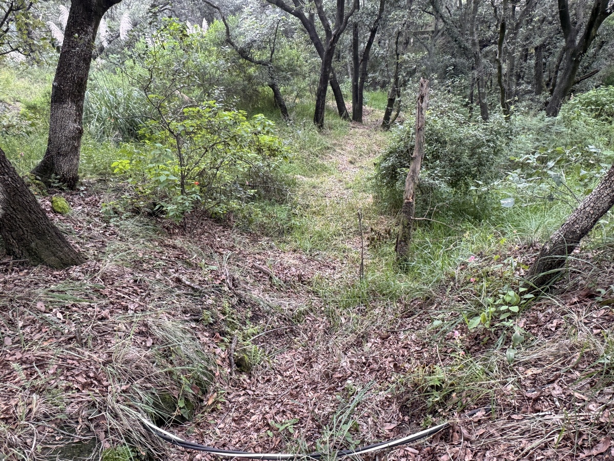 27 de 50