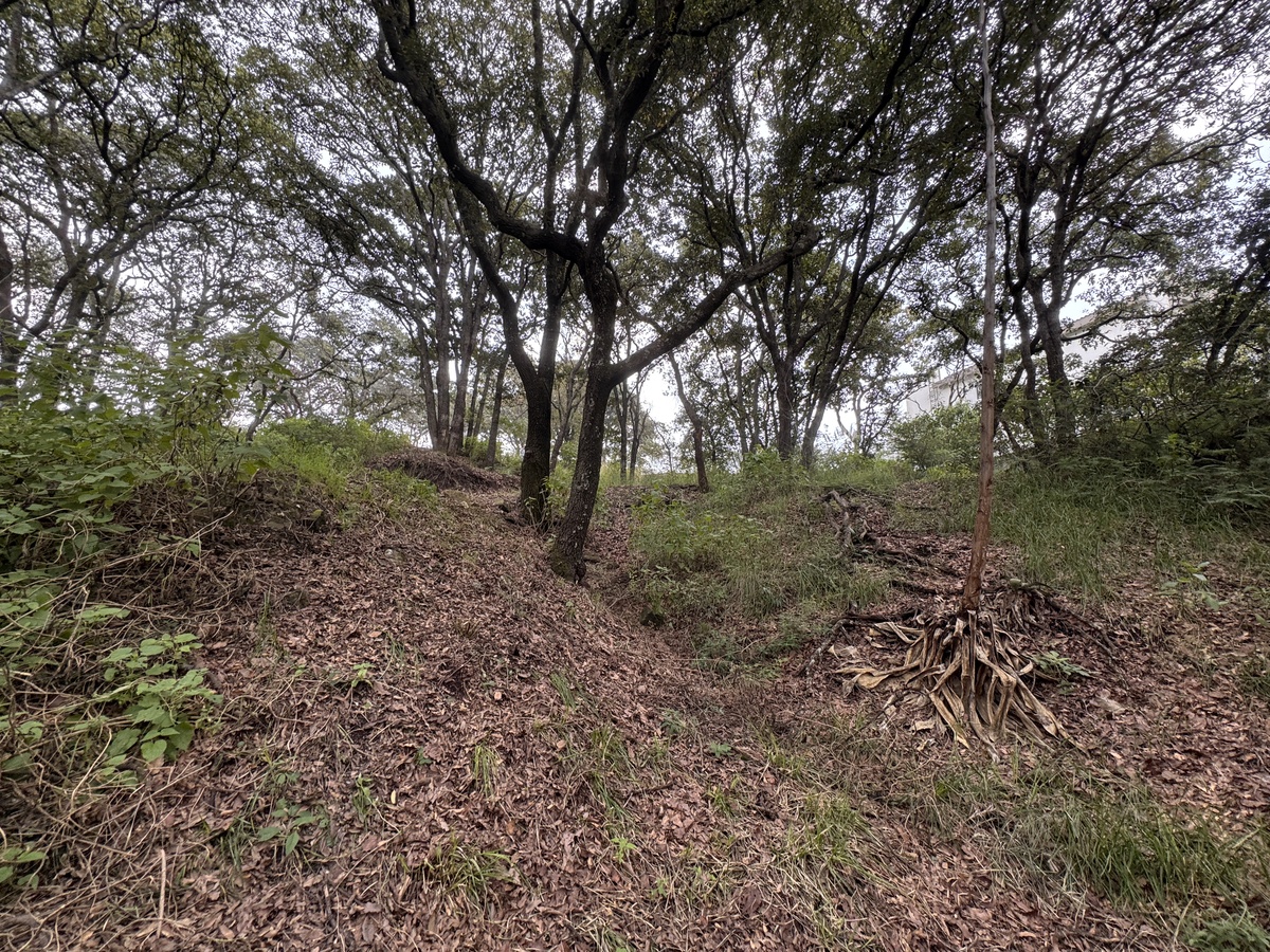 29 de 50