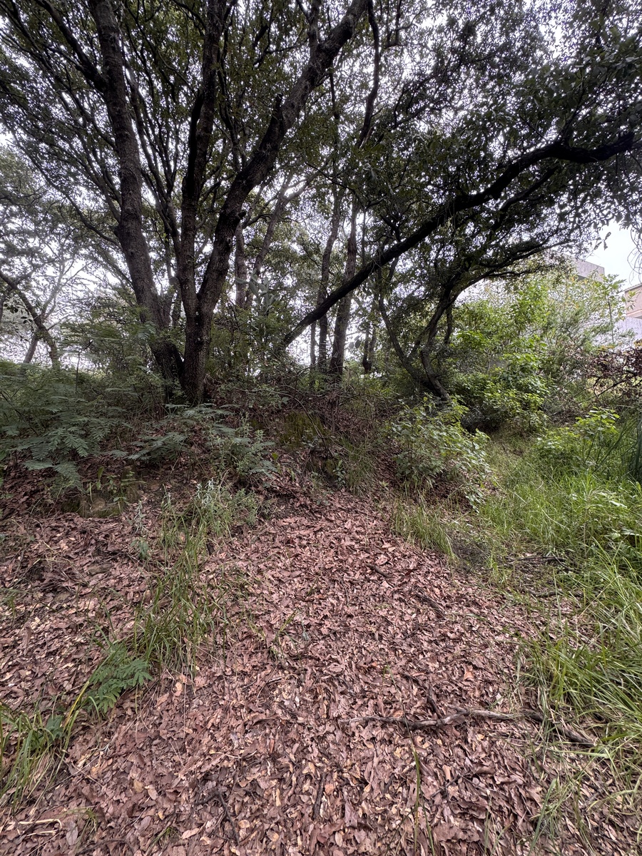 33 de 50