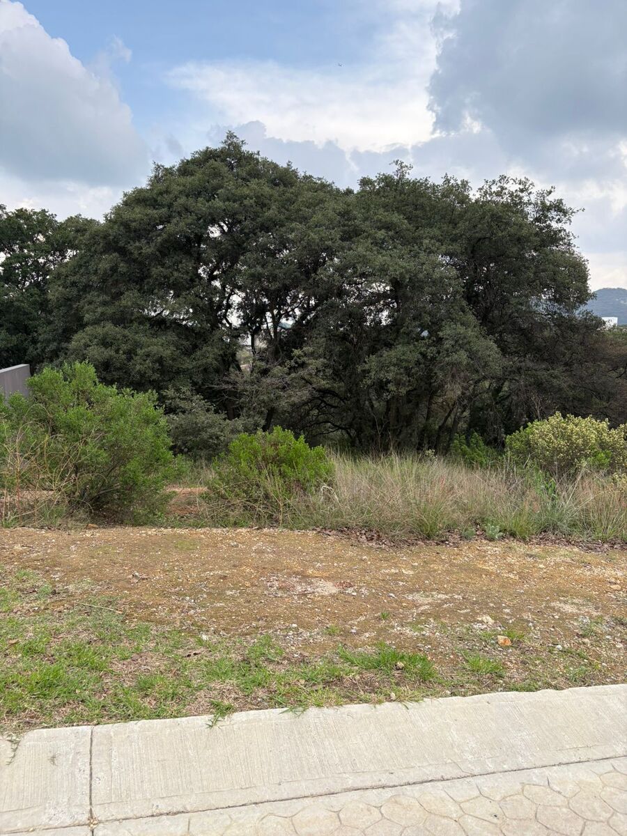 37 de 50