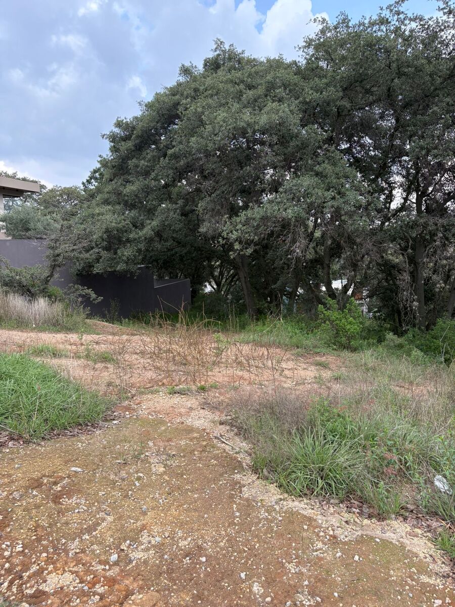 47 de 50