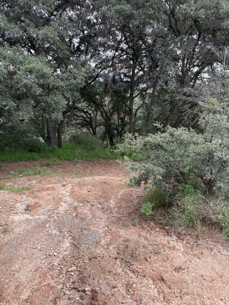 48 de 50