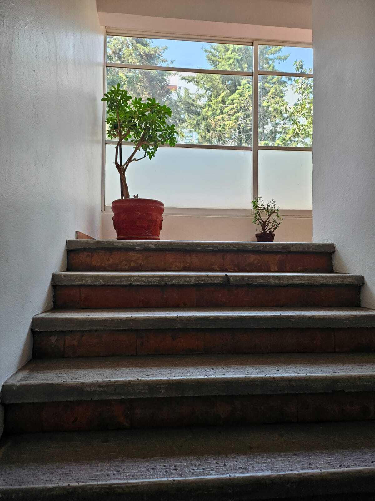 6 de 34