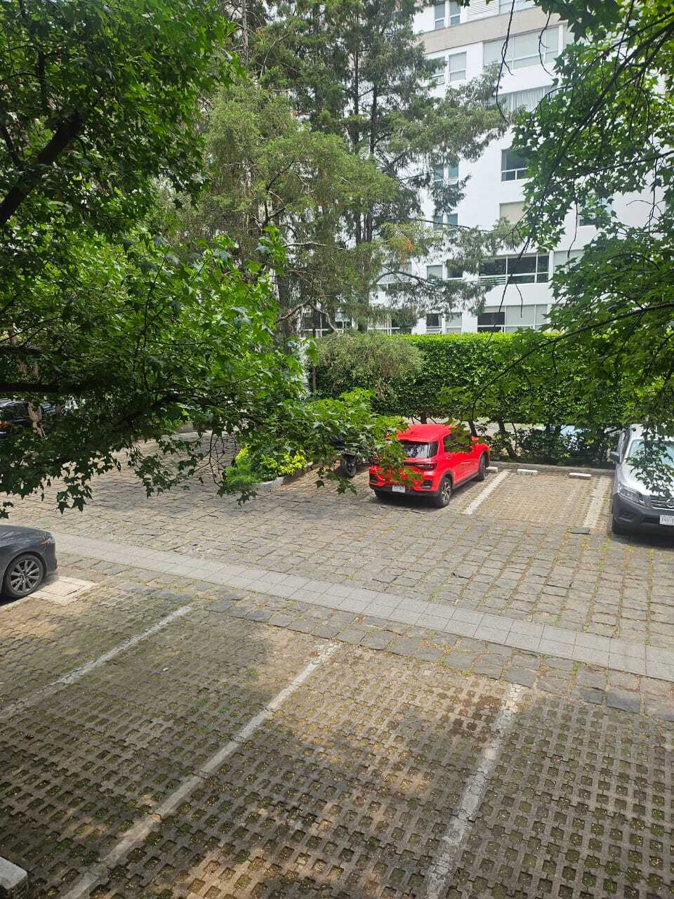 32 de 34