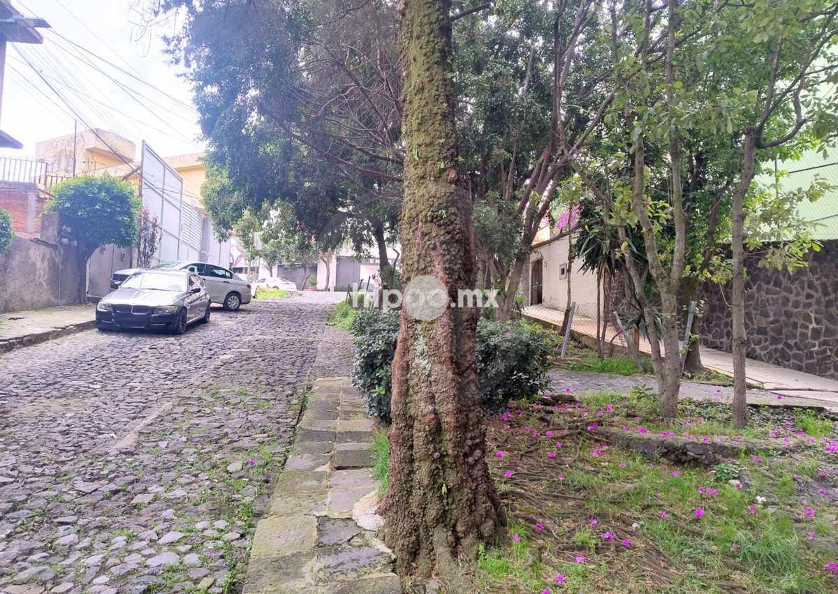30 de 30