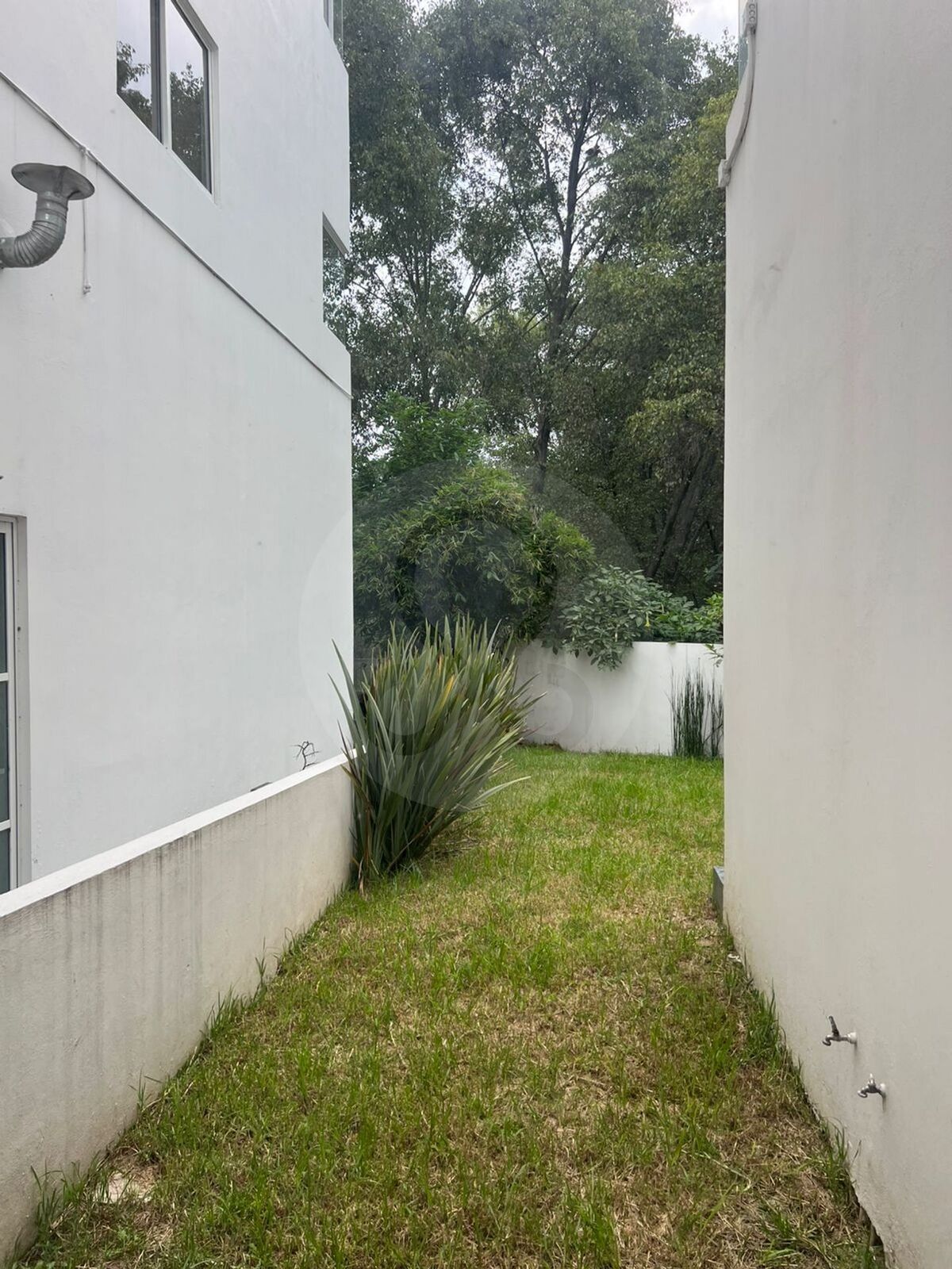 19 de 50