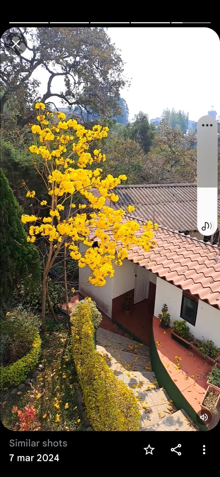 13 de 14
