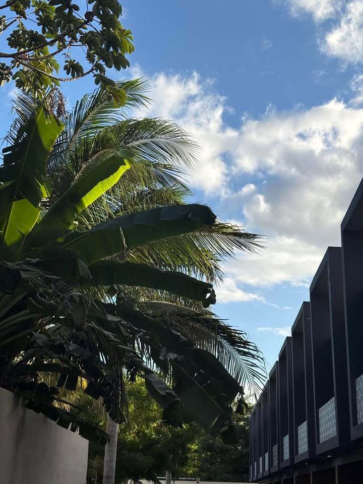 2 de 16