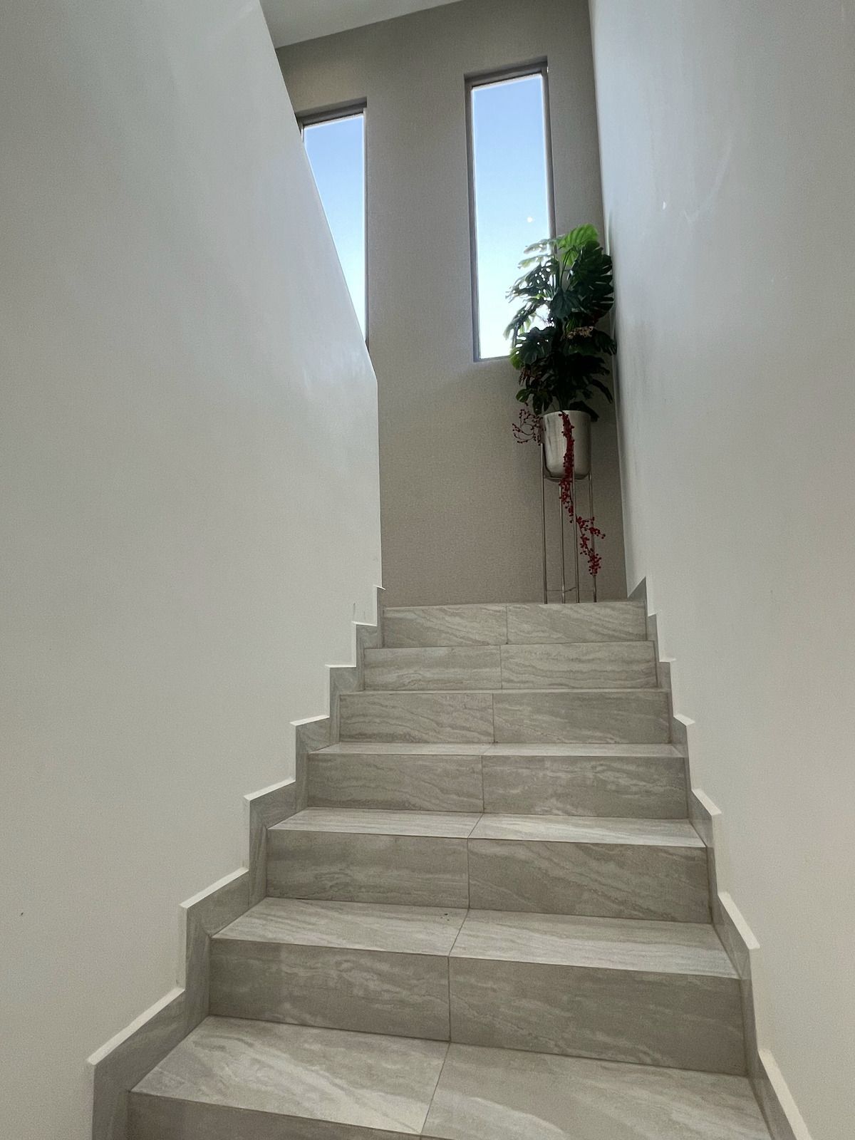 11 de 31
