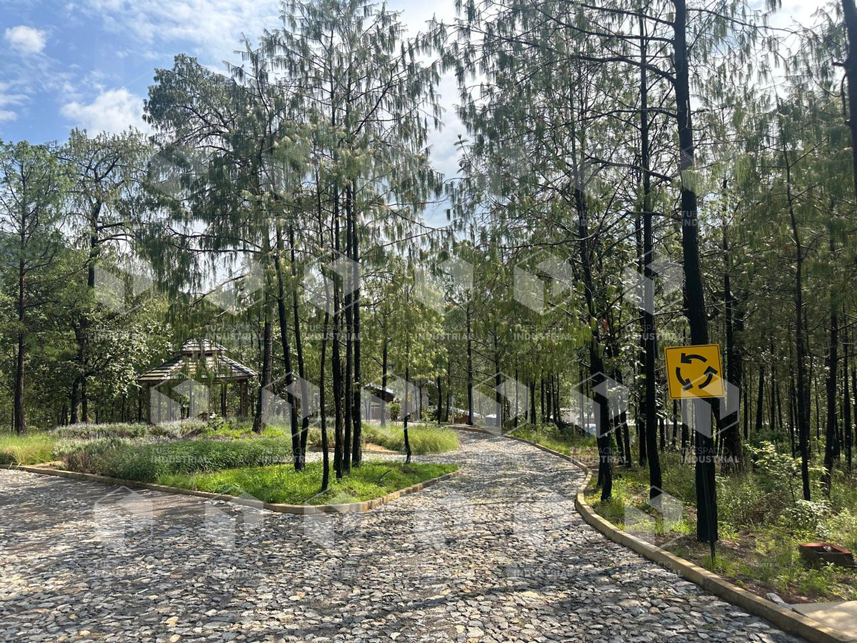 4 de 21