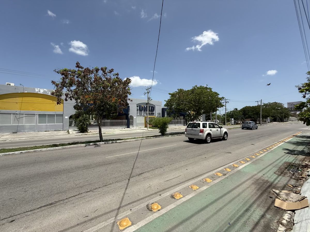 12 de 12