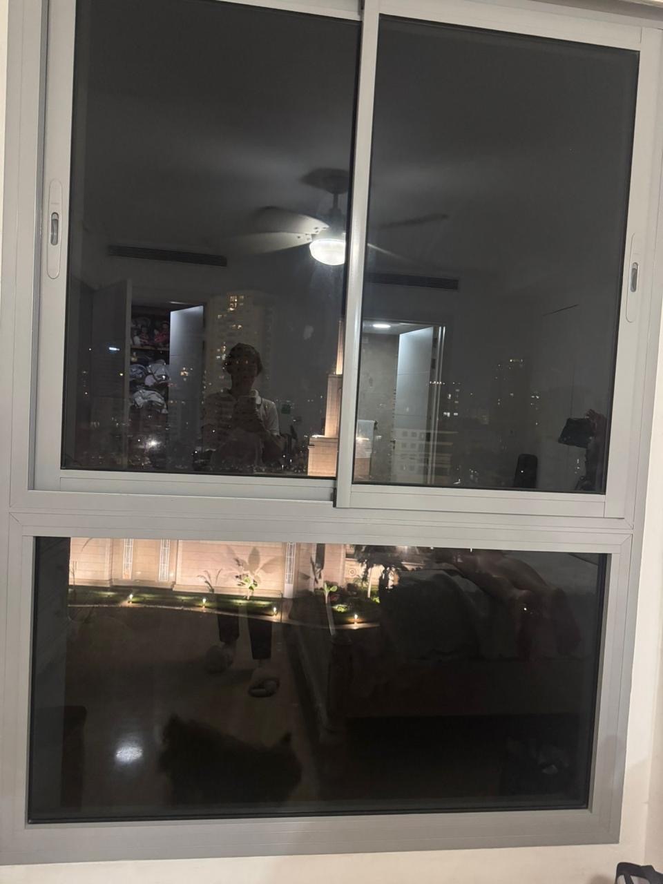 7 de 12