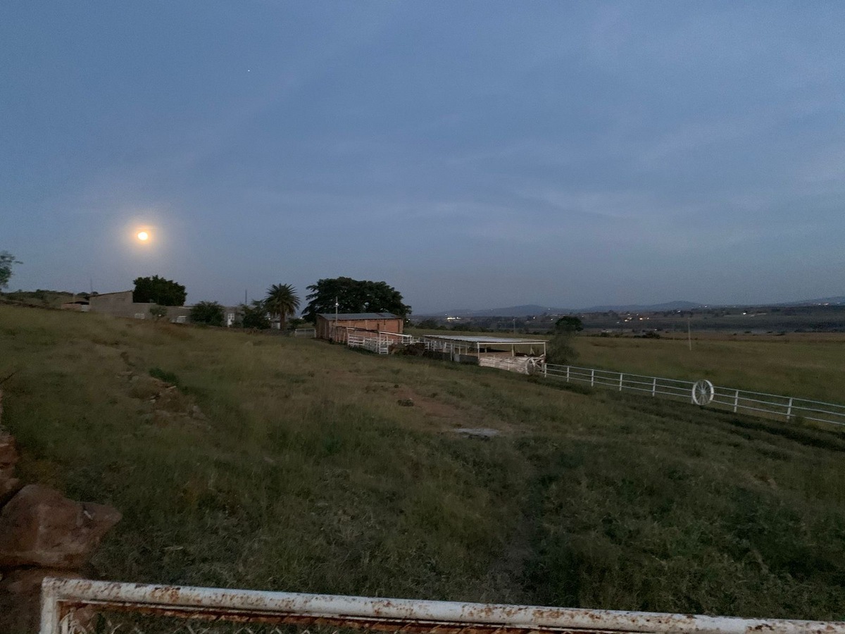 13 de 15