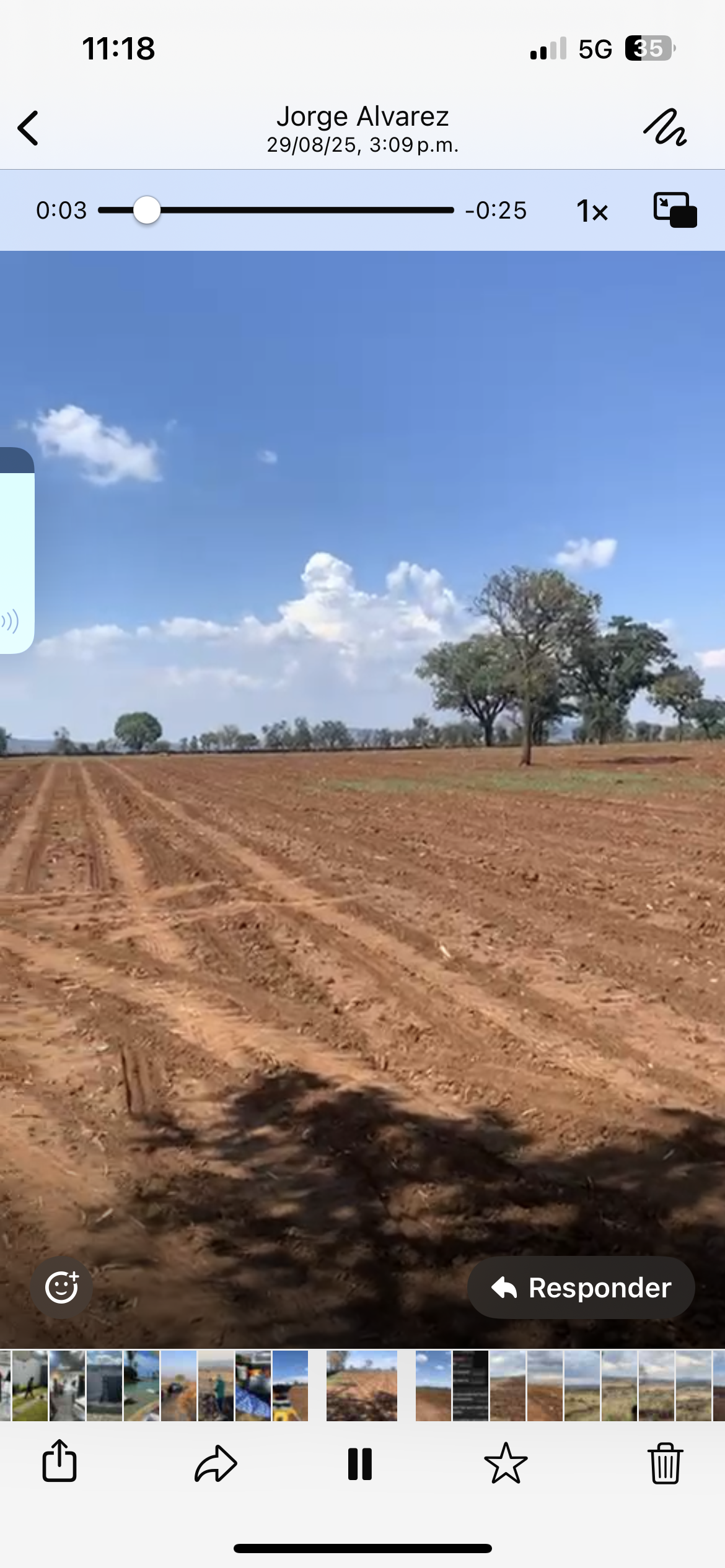 15 de 15